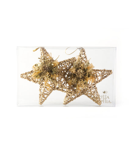 Estuche con Estrellas de Curly Golden Peace