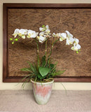 Orquideario con Tres Phalaenopsis Blancas y Follajes Artificiales en Base de Cerámica