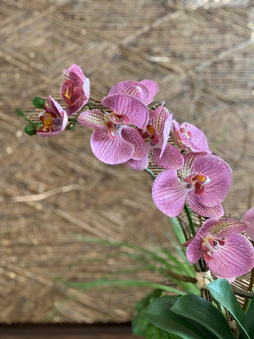 Orquideario con Phalaenopsis Rosa con Follajes Artificiales en Cilindro de Vidrio con Agua Acrílica