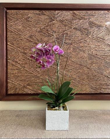 Orquideario con Phalaenopsis Fucsia en Base Cuadrada Tipo Cantera