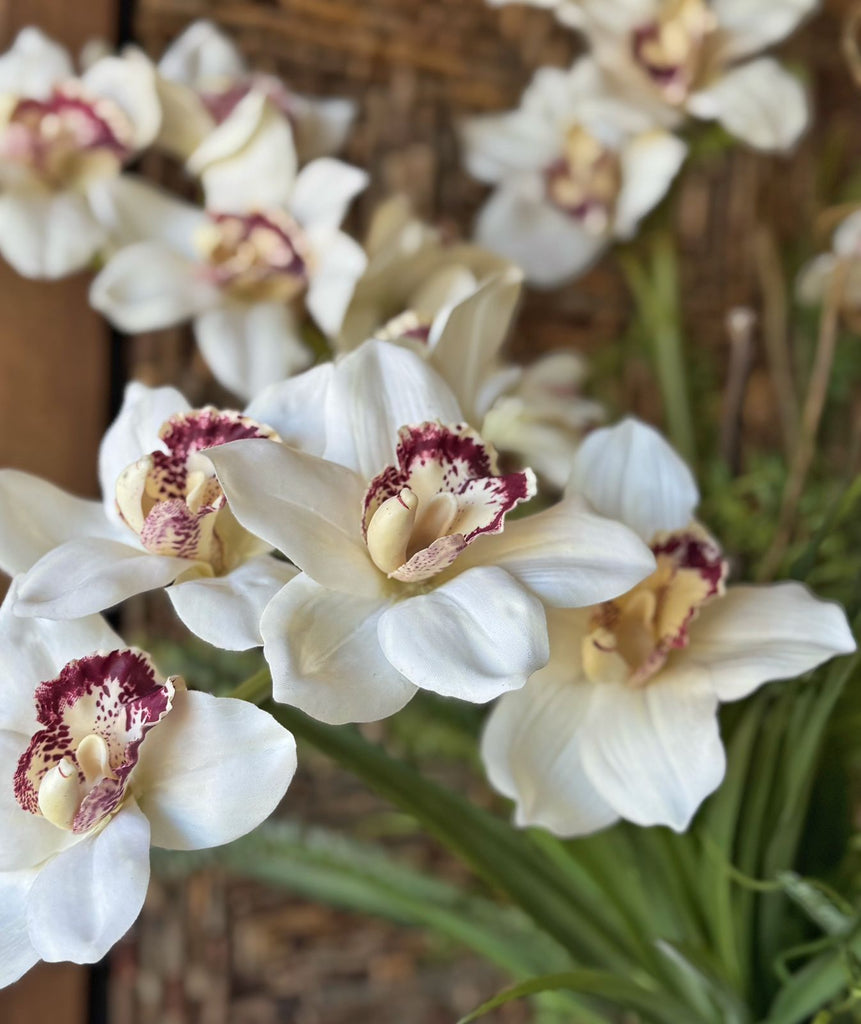 Orquideario 3/4 con Cymbidium Artificial en Base de Vidrio con Agua Acrílica