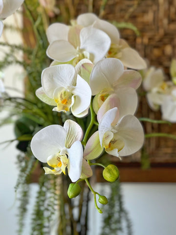 Orquideario con Phalaenopsis Blanca y Follajes Artificiales en Cilindro de Vidrio con Agua Acrílica