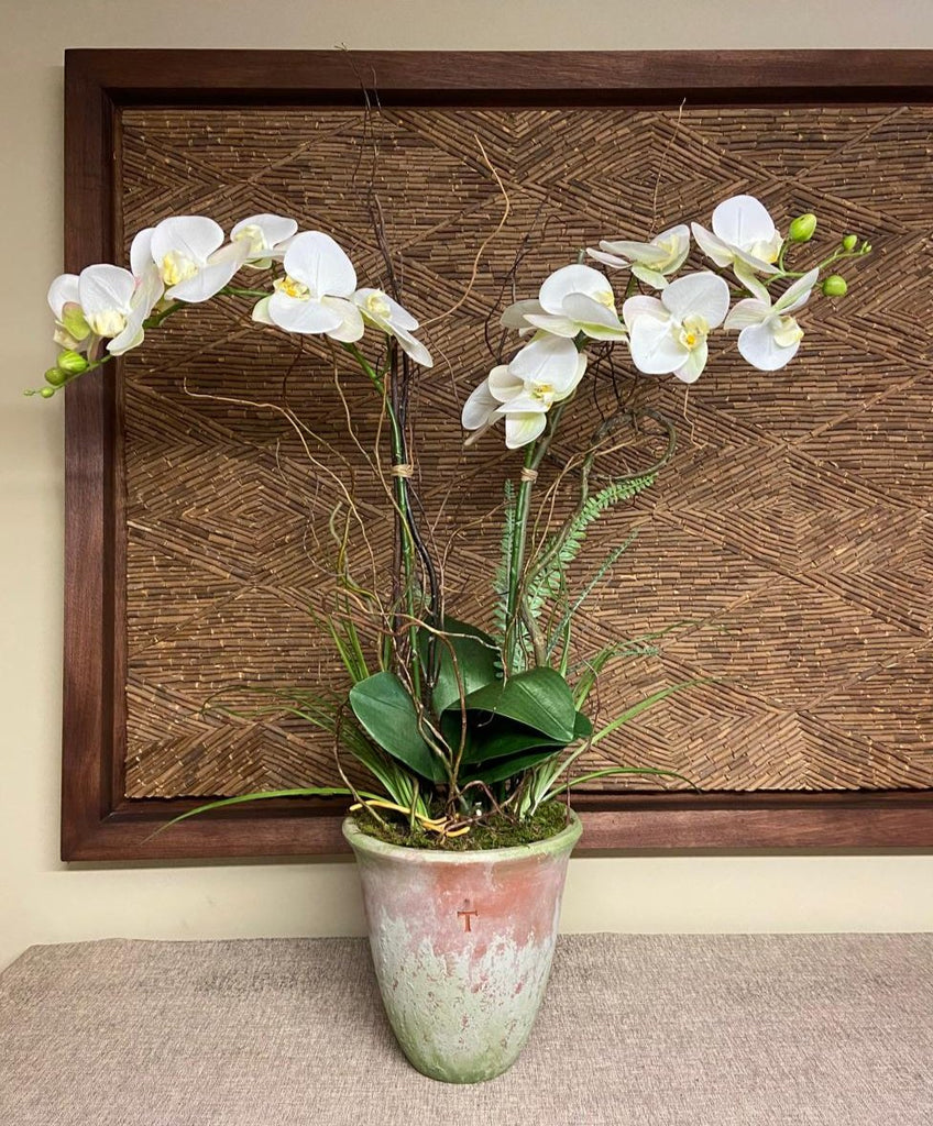 Orquideario con Dos Phalaenopsis Blancas y Follajes Artificiales en Base de Cerámica