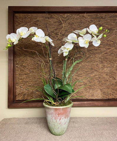 Orquideario con Dos Phalaenopsis Blancas y Follajes Artificiales en Base de Cerámica