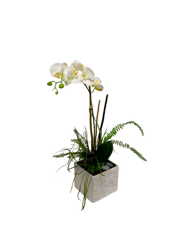 Orquideario con Phalaenopsis Blanca y Follajes Artificiales en Base Cuadrada Tipo Cantera